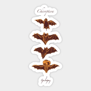 Bat Attack Orange Sticker